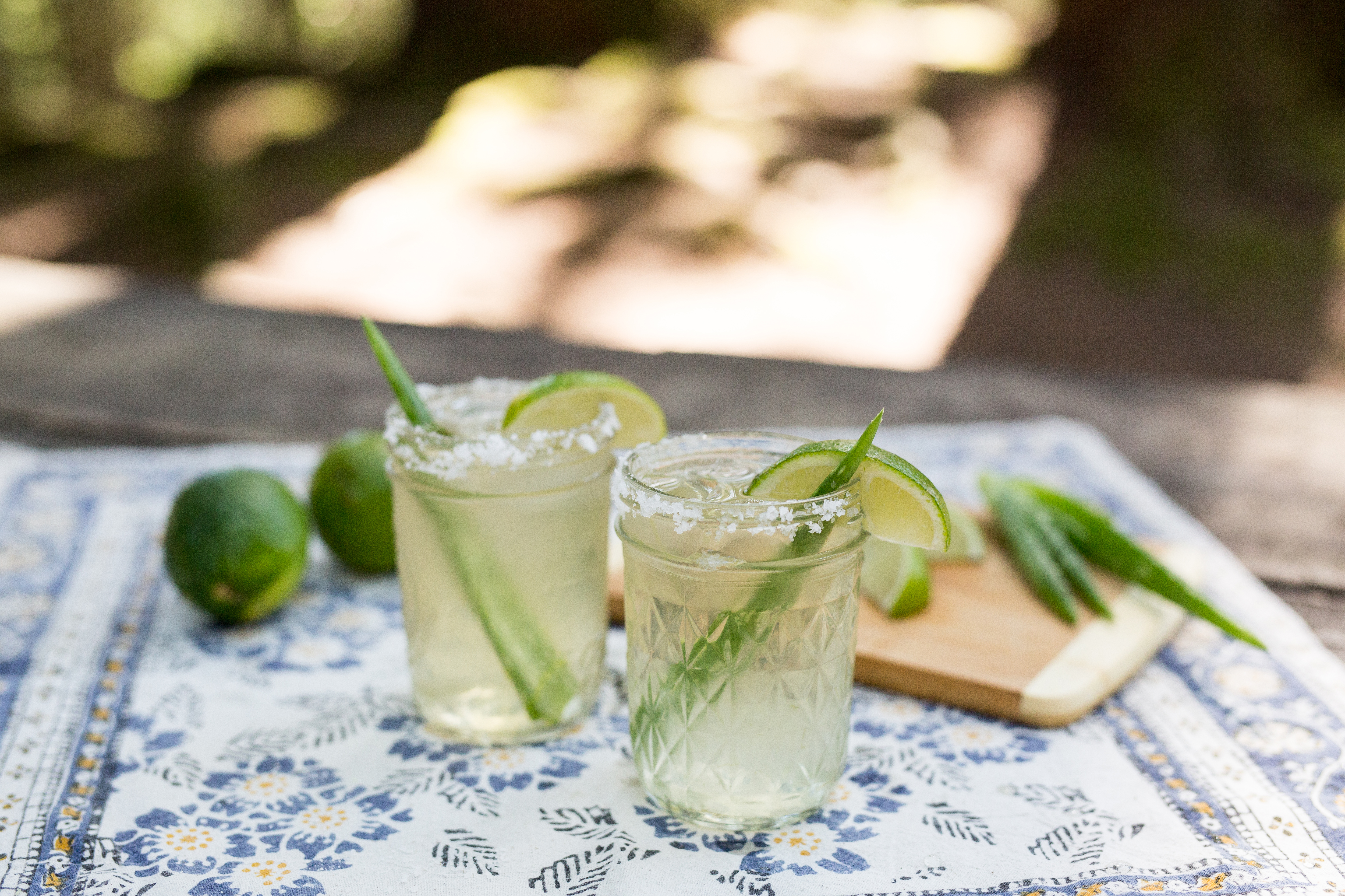 Aloe Vera Margarita Recipe | Huckberry
