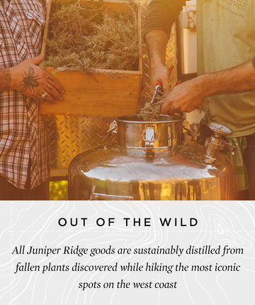 Callout callout 2x jr callout 2